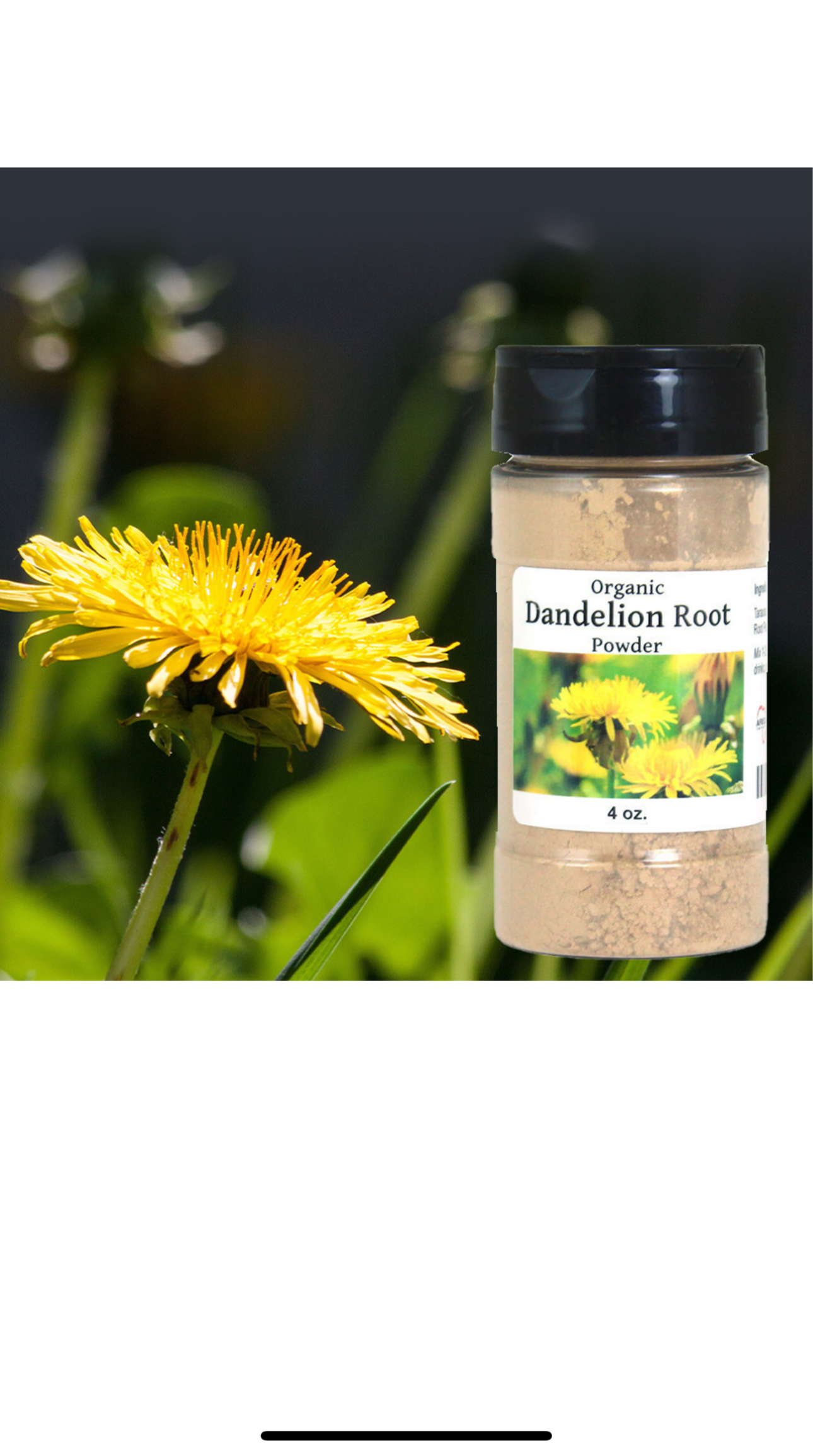Dandelion Root Powder-4oz